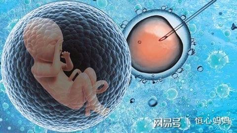 沪上生殖医学中心